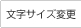 �����T�C�Y