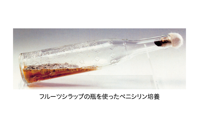 写真：フルーツシラップの瓶を使ったペニシリン培養