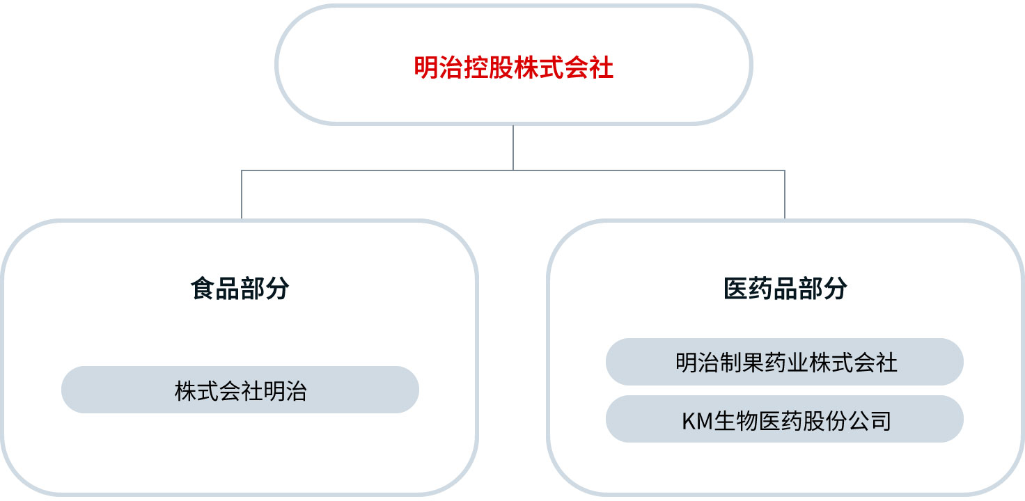 集团公司照片