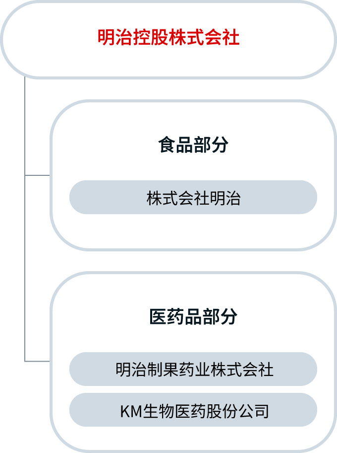 集团公司照片