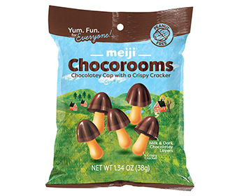 美国蘑菇山（Chocorooms）的照片