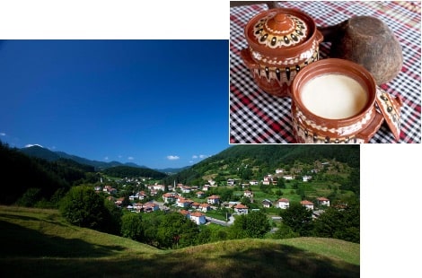 保加利亚风景和保加利亚酸奶的照片