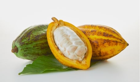 photo of cocoa beans