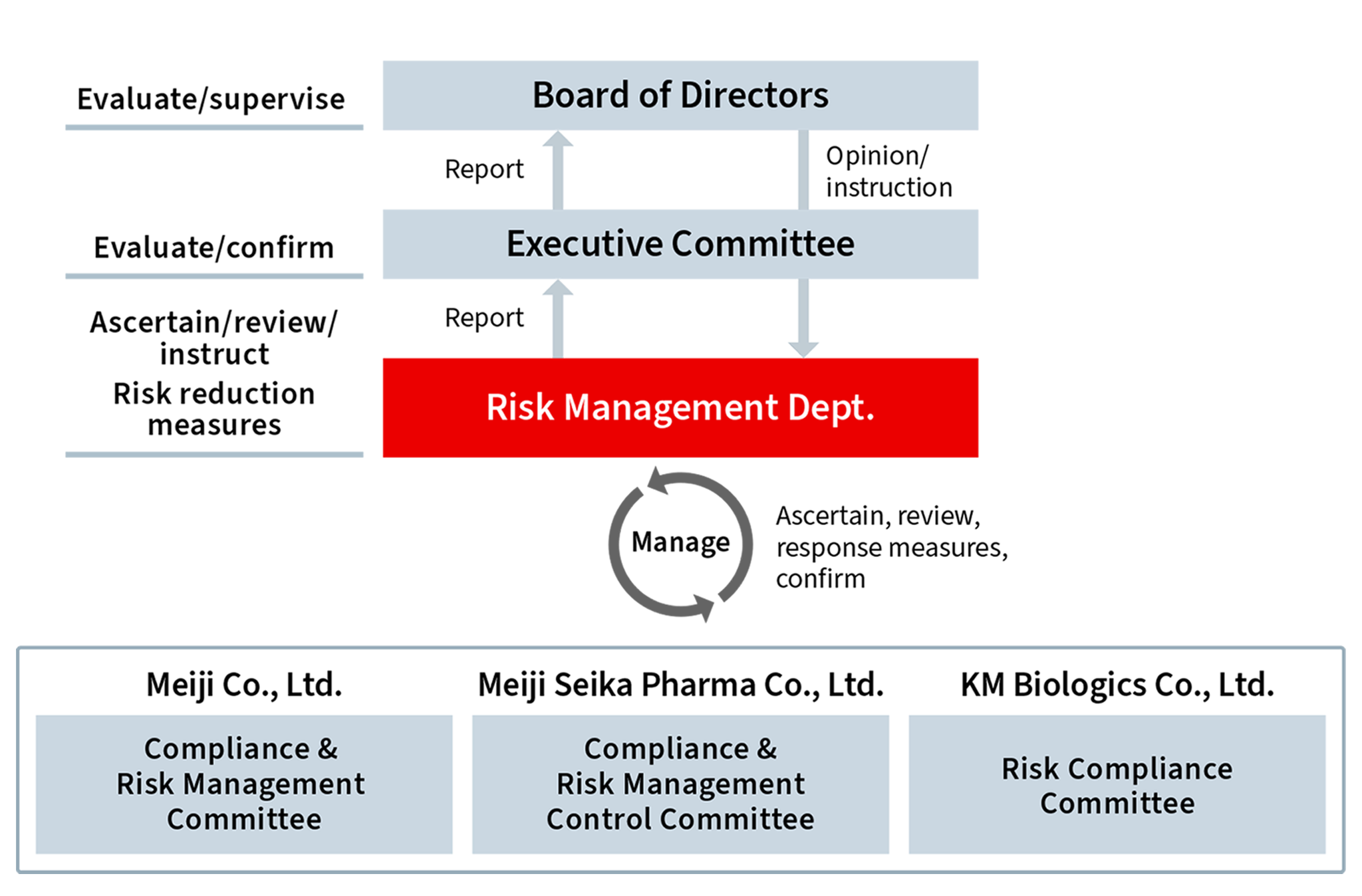 Figure: Risk management system