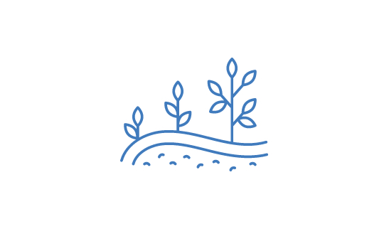 an illustration of prant growth regulators