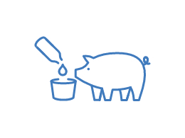 an illustration of a pig and oral administration agent