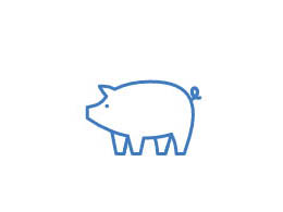 an illustration of a pig