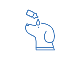 an illustration of a dog and an eye drop