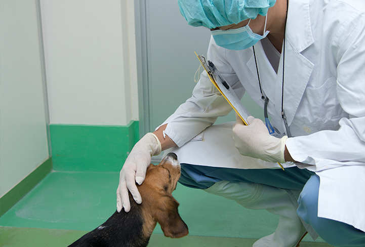 a photo of a researcher patting the head of a dog