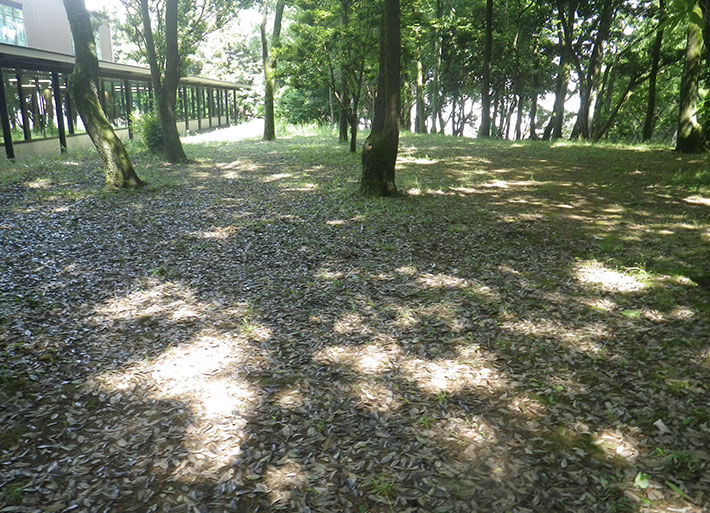 Photo: Zone B