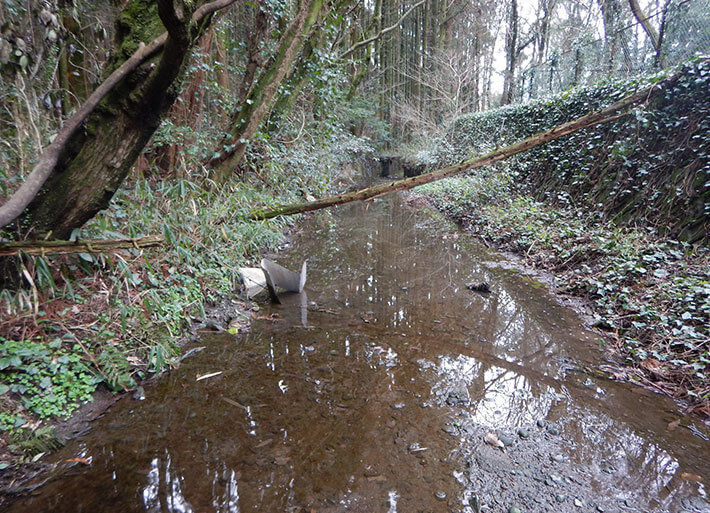 Photo: Waterway