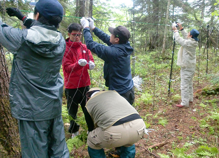 Photo:  prevent the invasion of wild deer in Oe Marsh in Oze