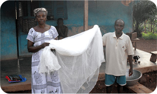 Mosquito nets for malaria control