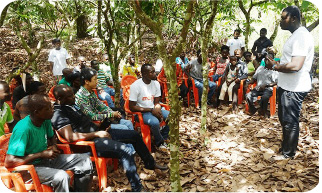 Training school at the farm