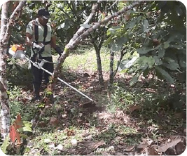 Weeding with equipment borrowed in the bank