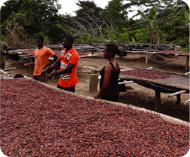 Best farmer (Second from right)