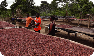 Best farmer (Second from right)