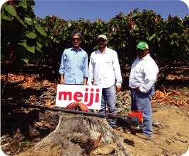 Donation of pruning equipment to 10 farmers