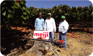 Donation of pruning equipment to 10 farmers