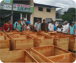 Distribution of cocoa fermentation boxes