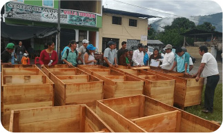 Distribution of cocoa fermentation boxes