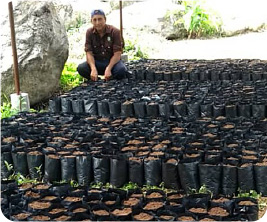 New seedling center under preparation