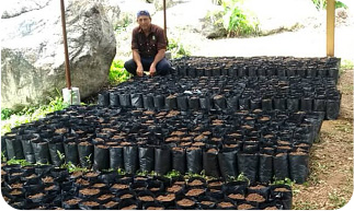 New seedling center under preparation