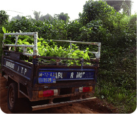 Distributing by car