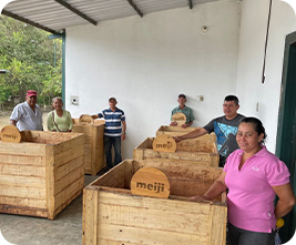 Donation of cocoa fermentation boxes