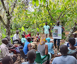 Session on Deforestation<