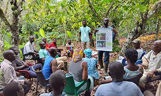 Session on Deforestation<