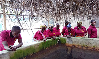 Fish Farming Business Started by VSLA Group