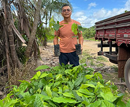 Donated Seedlings