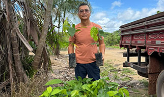 Donated Seedlings