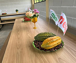 School Kitchen and Cafeteria (Interior)