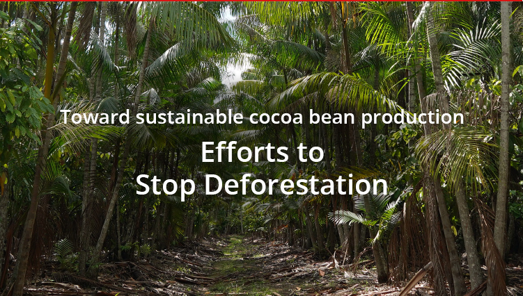 Efforts to Stop Deforestation Toward sustainable cocoa bean production