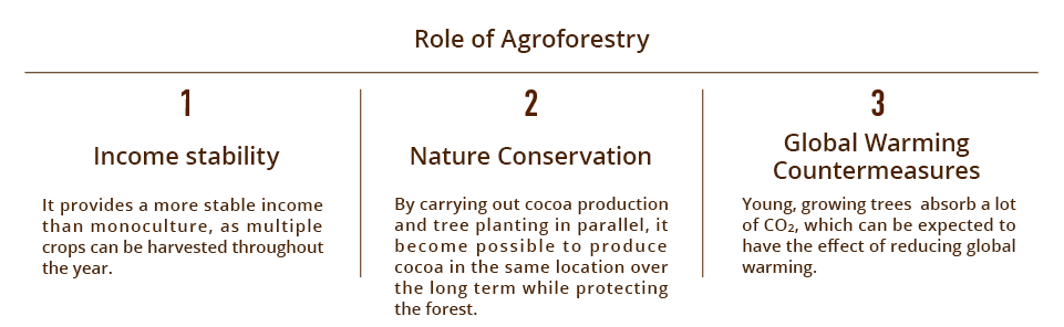 Role of Agroforestry 1Income stability It provides a more stable income than monoculture, as multiple crops can be harvested throughout the year. 2Nature Conservation By carrying out cocoa production and tree planting in parallel, it become possible to produce cocoa in the same location over the long term while protecting the forest. 3Global Warming Countermeasures Young, growing trees  absorb a lot of CO2, which can be expected to have the effect of reducing global warming.