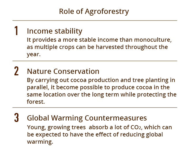 Role of Agroforestry 1Income stability It provides a more stable income than monoculture, as multiple crops can be harvested throughout the year. 2Nature Conservation By carrying out cocoa production and tree planting in parallel, it become possible to produce cocoa in the same location over the long term while protecting the forest. 3Global Warming Countermeasures Young, growing trees  absorb a lot of CO2, which can be expected to have the effect of reducing global warming.