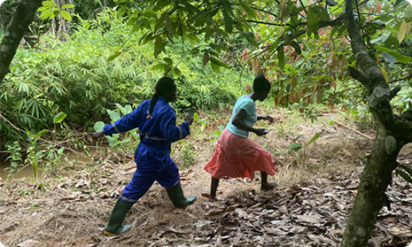 Walking along the farm boundaries with a smartphone and mapping it with GPS