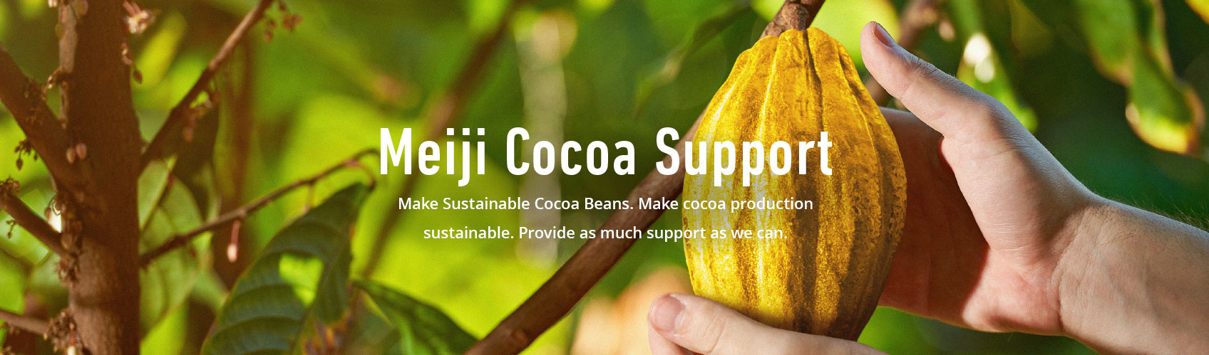 Meiji Cocoa Support Make Sustainable Cocoa Beans. Make cocoa production sustainable. Provide as much support as we can.