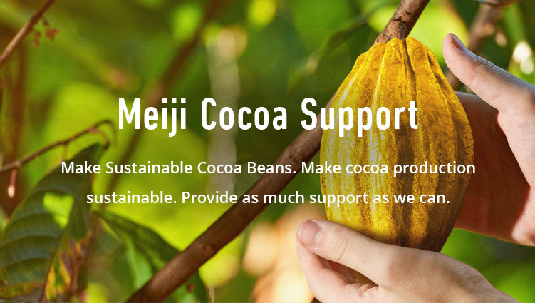 Meiji Cocoa Support Make Sustainable Cocoa Beans. Make cocoa production sustainable. Provide as much support as we can.