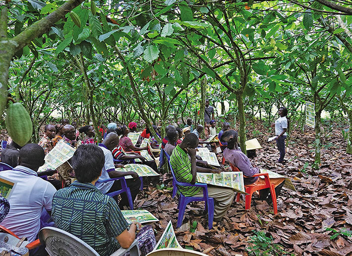 Photo: Meiji Cocoa Support program