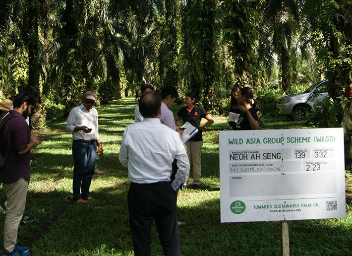 Photo: Plantations in Malaysia