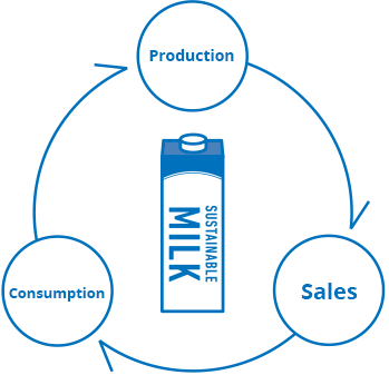 production, sales, consumption