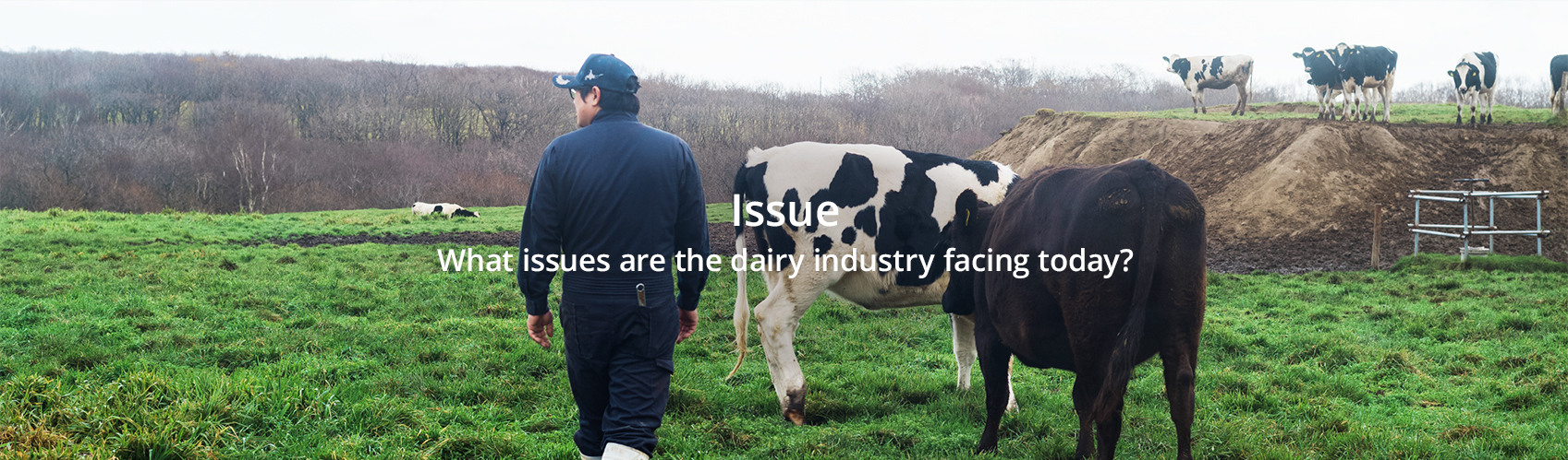 Issue What issues are the dairy industry facing today?