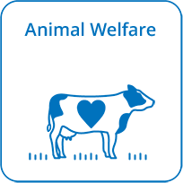 Animal Welfare