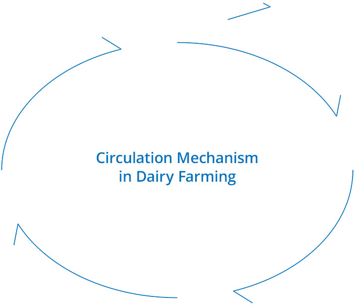 Circulation Mechanism in Dairy Farming