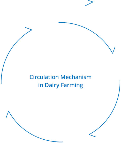 Circulation Mechanism in Dairy Farming