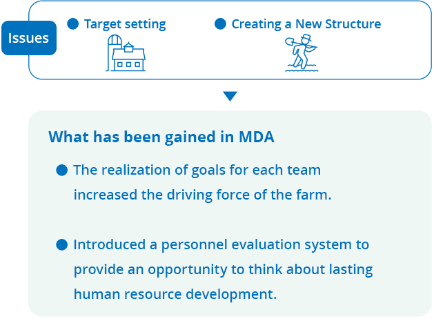 Issues Target setting. Creating a New Structure. What has been gained in MDA The realization of goals for each team increased the driving force of the farm. Introduced a personnel evaluation system to provide an opportunity to think about lasting human resource development.