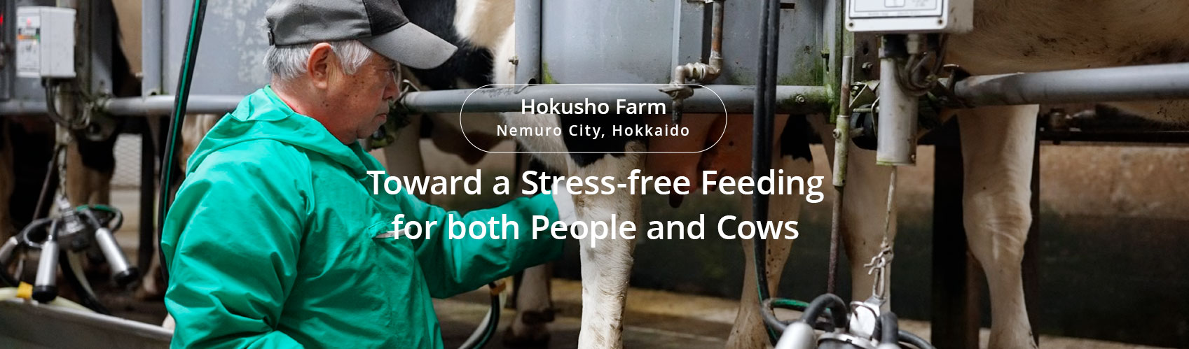 CASE2 Toward a Stress-free Feeding for both People and Cows